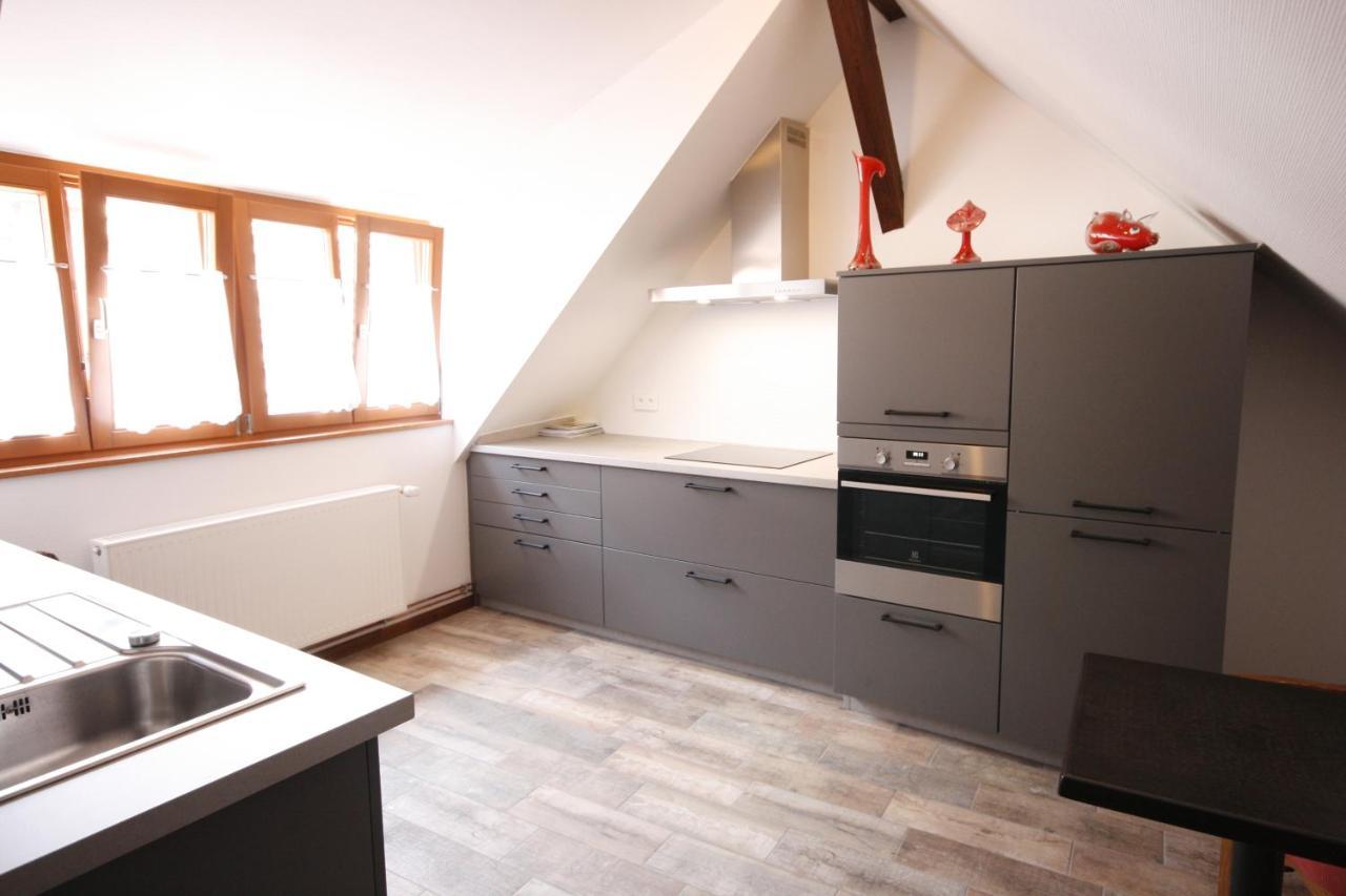 Appartement Le Chamois Kaysersberg-Vignoble Екстериор снимка