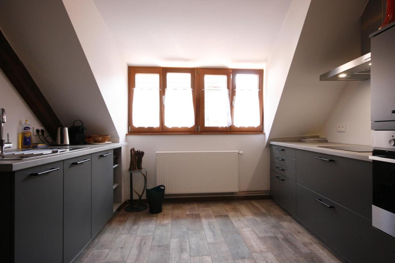Appartement Le Chamois Kaysersberg-Vignoble Екстериор снимка