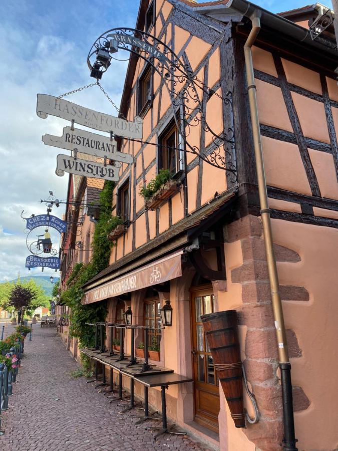 Appartement Le Chamois Kaysersberg-Vignoble Екстериор снимка
